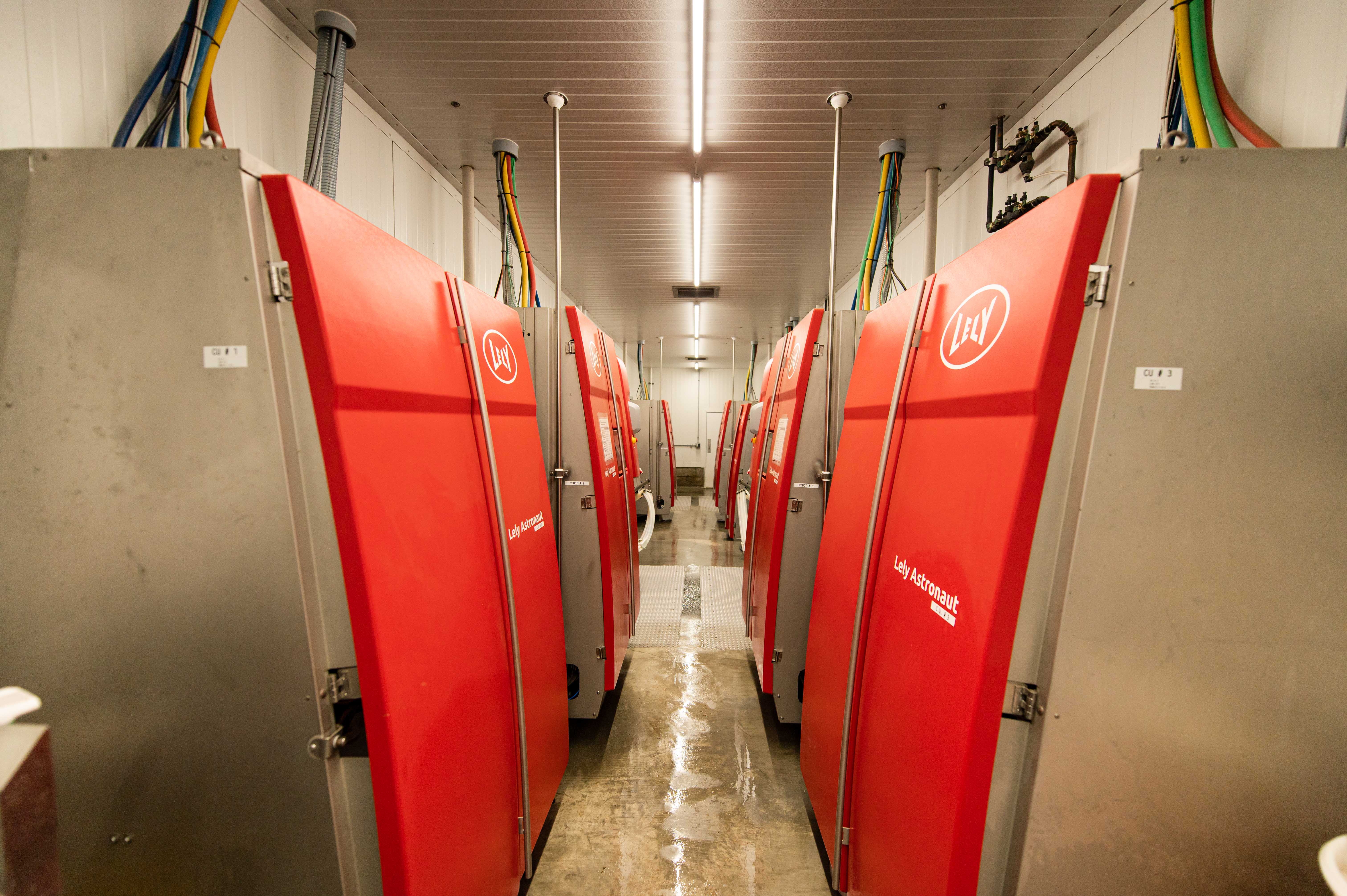 100-women-owned-creamery-integrates-automation-to-increase-cow-comfort